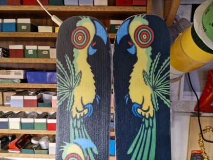 Paradiesvogel