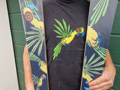 Paradiesvogel