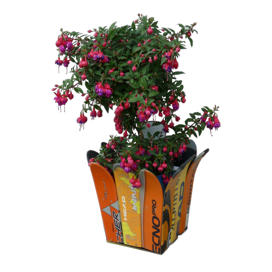 Blumentopf oder Papierkorb Modell VRENI