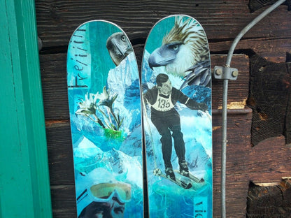 Bird Of Prey