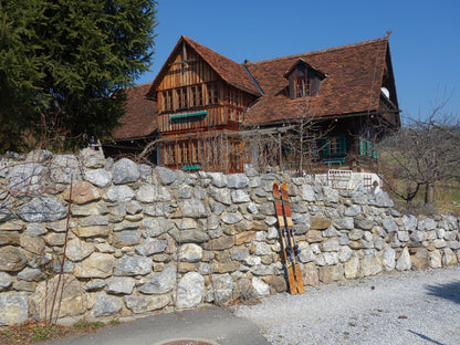 Mischwald